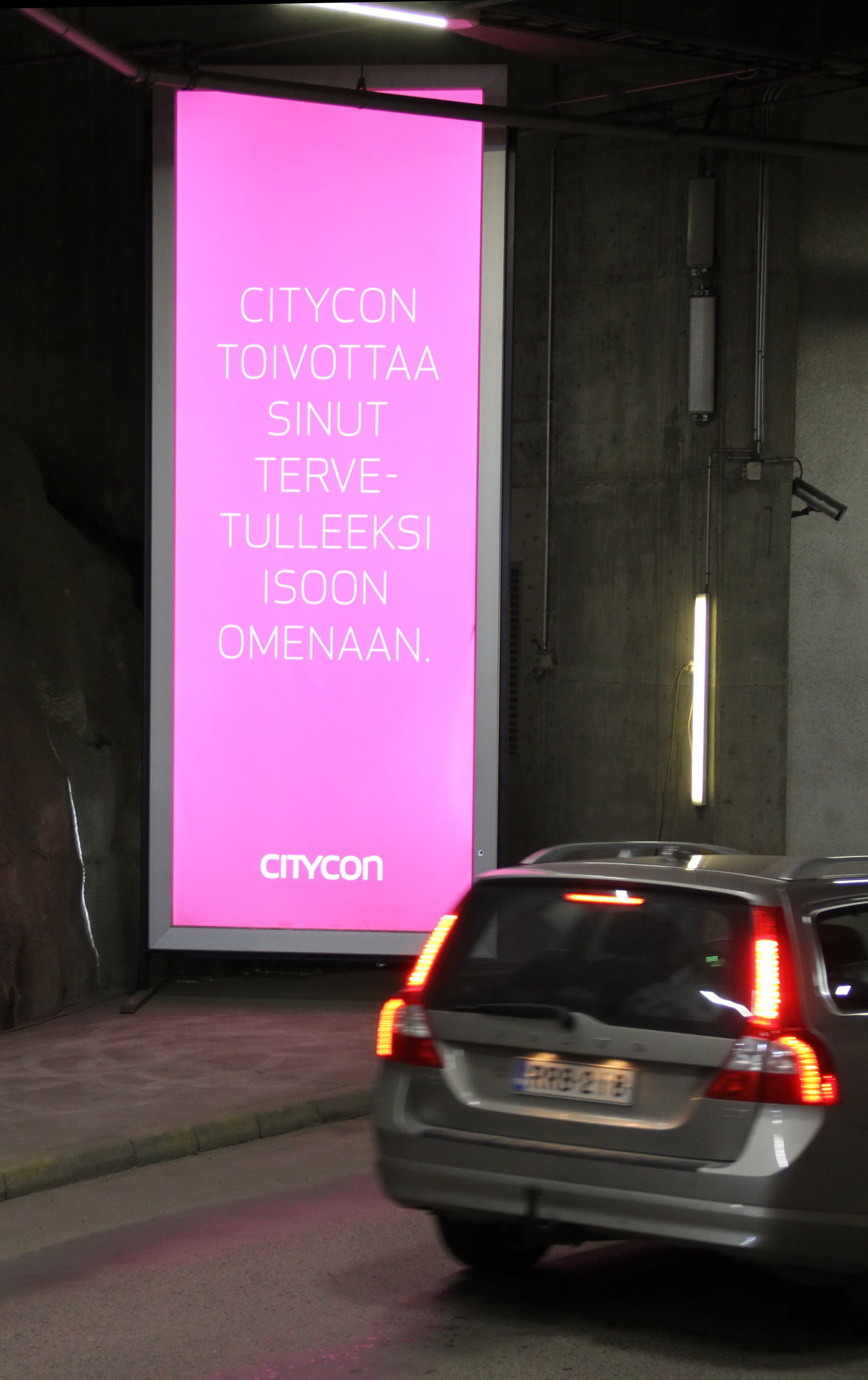 Pysty Iso-Omena 2 x 5m